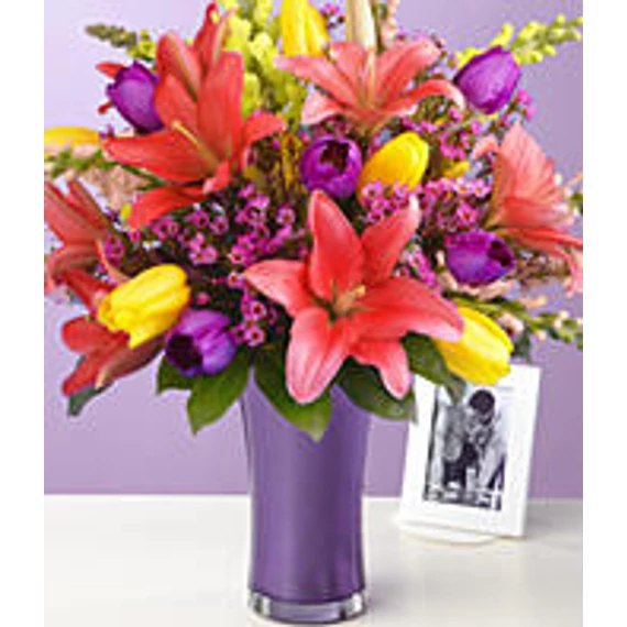 30 Multi-Colored Tulipsasd